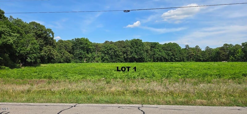 Lemon Springs Rd, Sanford, NC 27332
