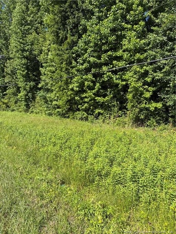 Lemon Springs Rd, Sanford, NC 27332