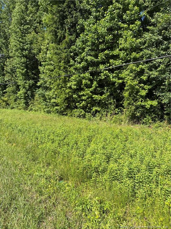 Lemon Springs Rd, Sanford, NC 27332