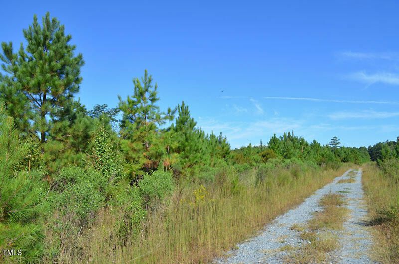0 Lizzie Mill Rd, Selma, NC 27576