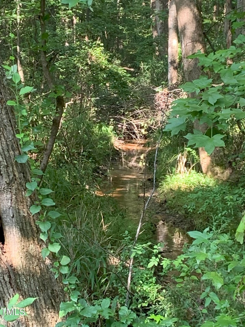 Long St Lot N/A, Fuquay Varina, NC 27526