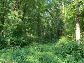 Long St Lot N/A, Fuquay Varina, NC 27526