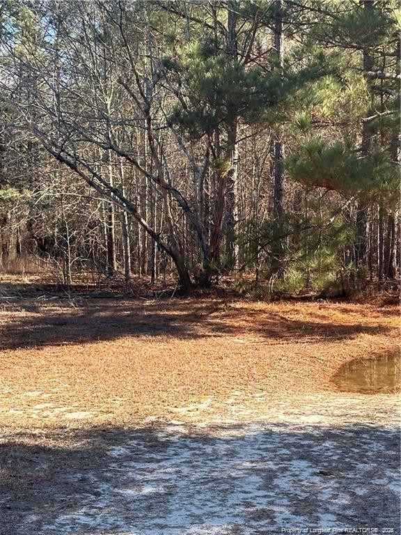 0 Love Grove Church Rd, Sanford, NC 27332