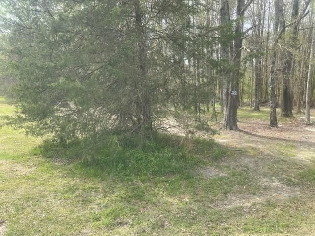 0 Lower Hopedale Rd, Burlington, NC 27217