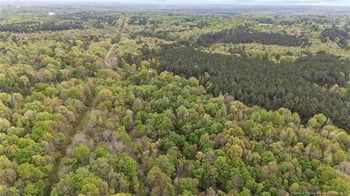 Lower River Rd, Sanford, NC 27330