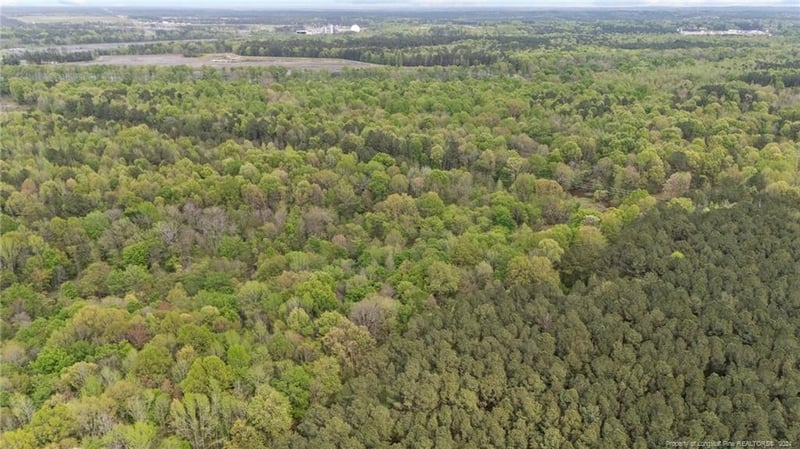 Lower River Rd, Sanford, NC 27330
