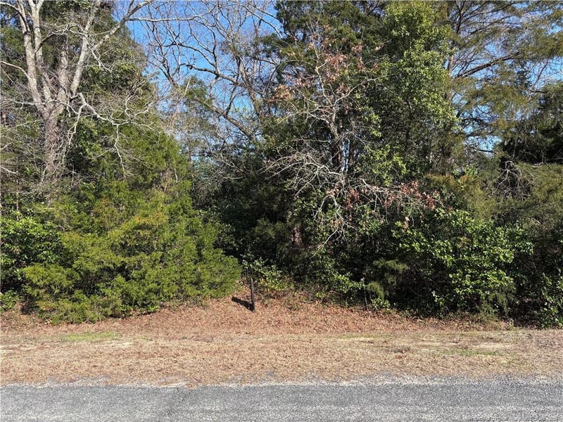 Mabry Rd, Fayetteville, NC 28348