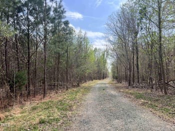 0 Magnificent Trl, Hillsborough, NC 27278