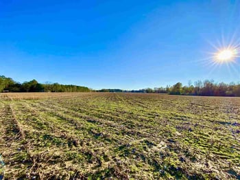 Main St Lot 1, Lillington, NC 27546