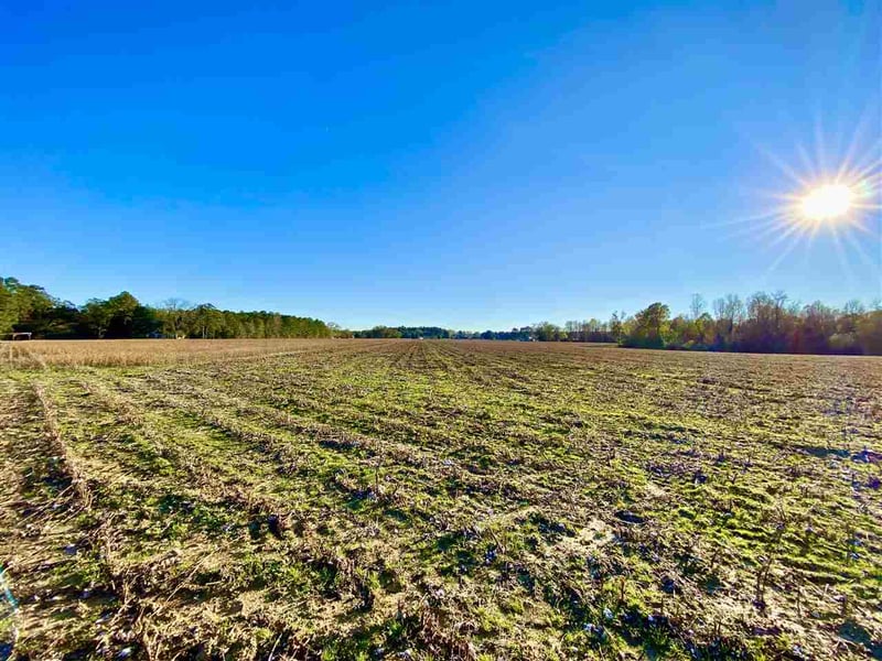 Main St Lot 1, Lillington, NC 27546