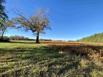 Main St Lot 1, Lillington, NC 27546