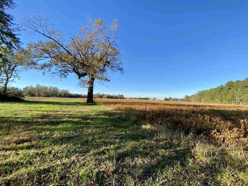 Main St Lot 1, Lillington, NC 27546
