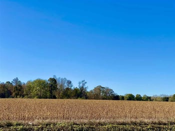Main St Lot 1, Lillington, NC 27546