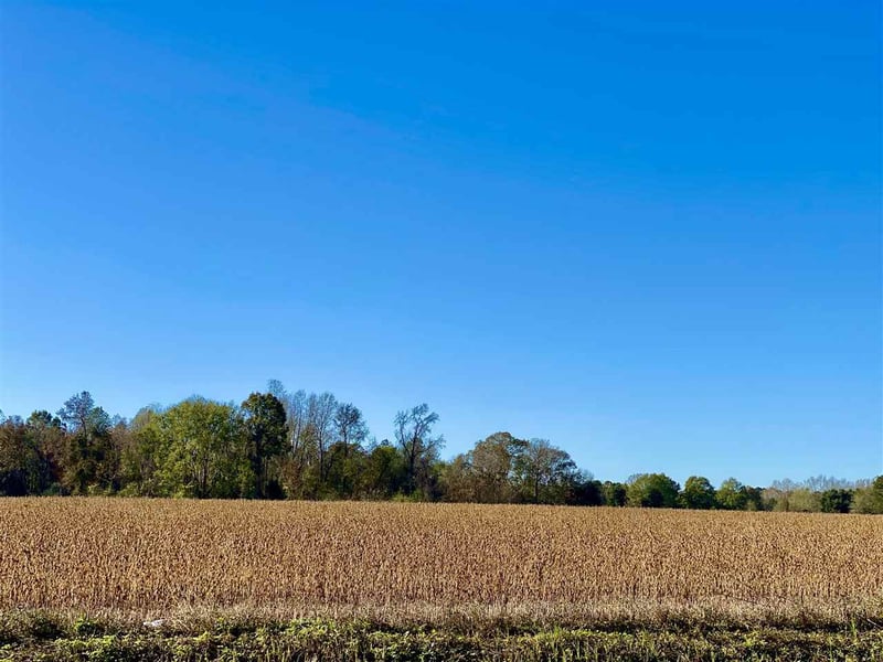 Main St Lot 1, Lillington, NC 27546