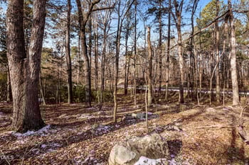 Manns Chapel Rd, Pittsboro, NC 27312