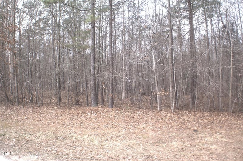 Martin Pond Rd, Wendell, NC 27591