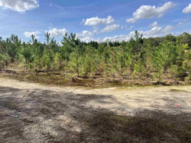 0 Massengill Pond Rd Lot 1, Angier, NC 27501