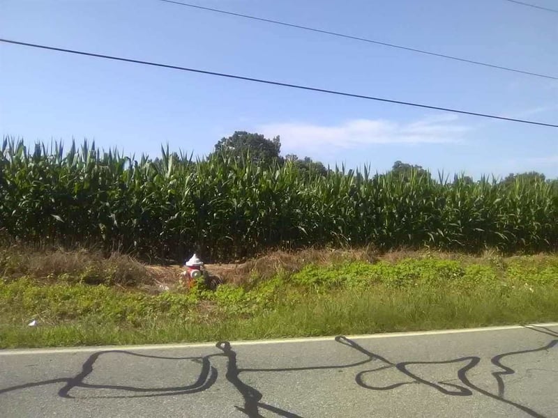 Mattress Factory Rd, Mebane, NC 27302