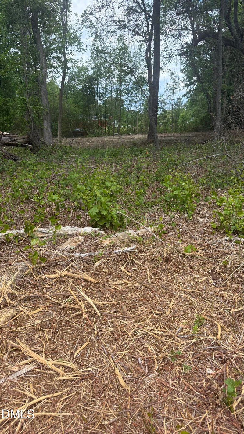 Mcdougald Rd, Sanford, NC 27332
