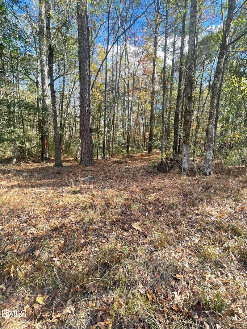 Mcneill St, Lillington, NC 27546