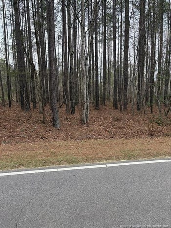 Mcpherson Rd, Sanford, NC 27330