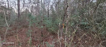 Melie Lee Rd, Fayetteville, NC 28312