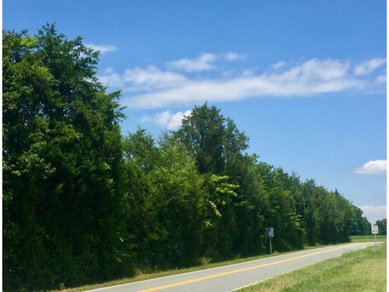 0 Mine Creek Rd, Burlington, NC 27215