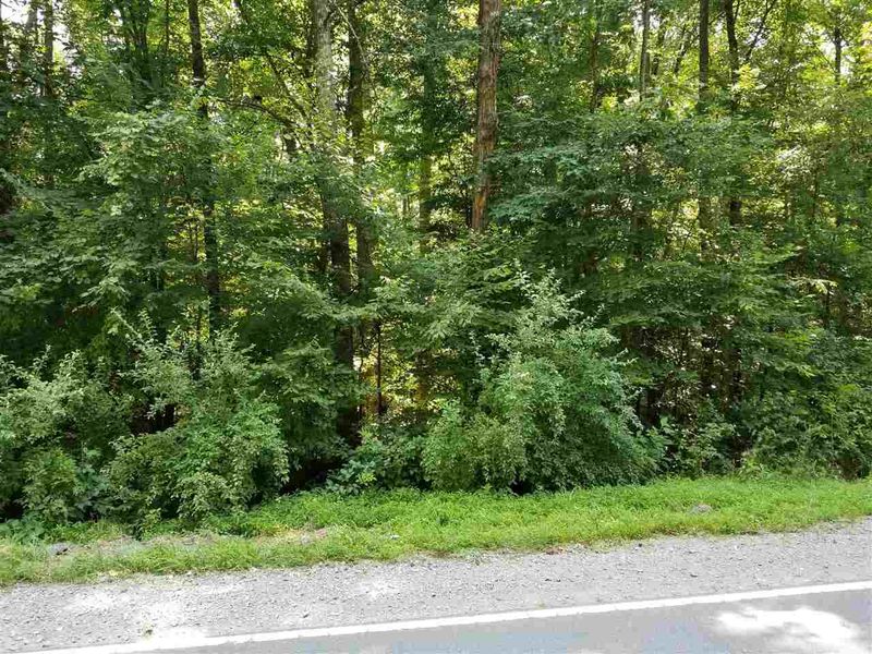 0 Moore Mountain Rd Lot 3, Pittsboro, NC 27312