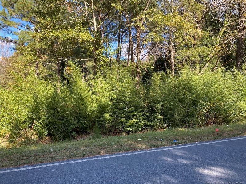 0 Moores Chapel Rd, Lillington, NC 27546