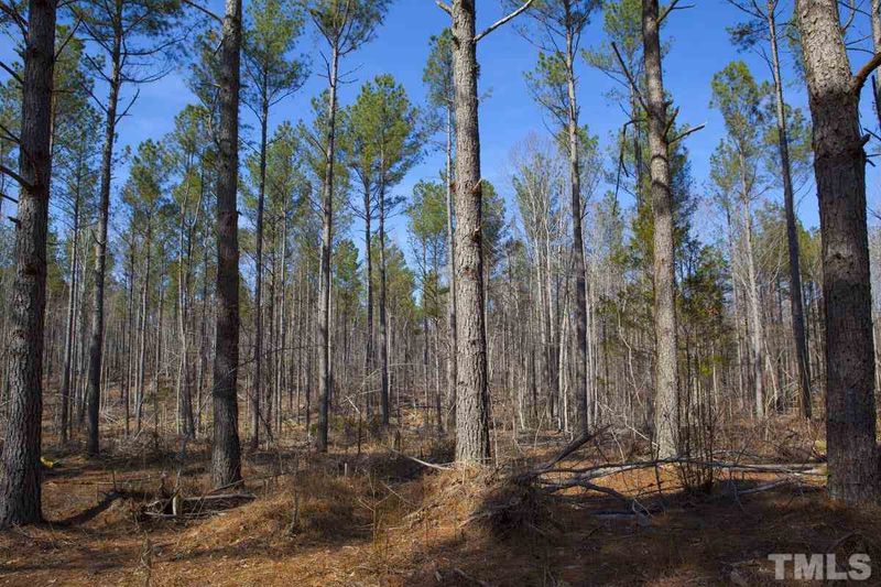 0 Moores Pond Rd, Youngsville, NC 27549