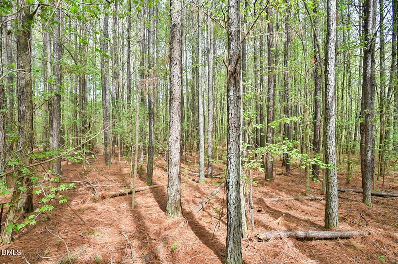 Morrow Mill Rd, Chapel Hill, NC 27516