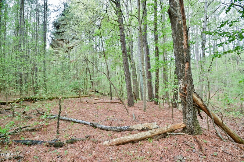 Morrow Mill Rd, Chapel Hill, NC 27516