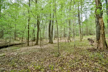 Morrow Mill Rd, Chapel Hill, NC 27516