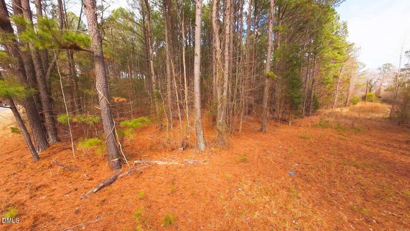 Mount Olivet Church Rd, Franklinton, NC 27525