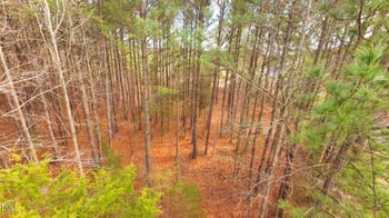 Mount Olivet Church Rd Lot 2, Franklinton, NC 27525