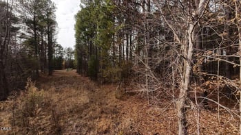 Mount Olivet Church Rd Lot 2, Franklinton, NC 27525
