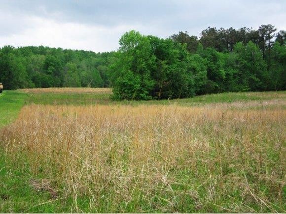 0 Mt Willen Rd, Haw River, NC 27258