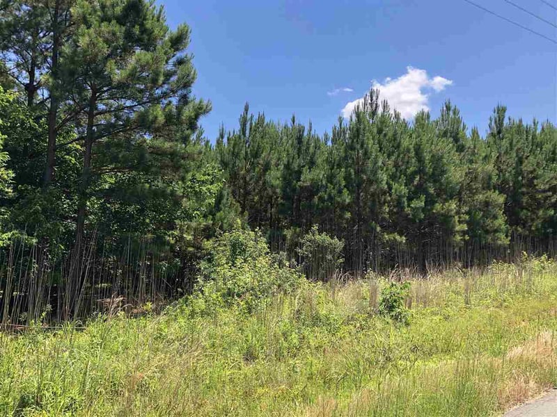 0 Mt Zion Church Rd, Apex, NC 27502