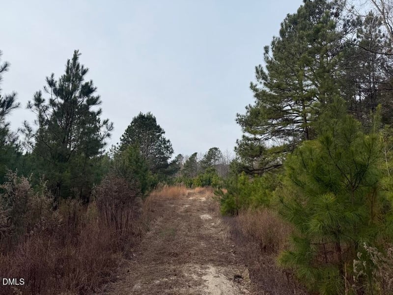 Murphy Rd, Youngsville, NC 27596