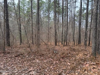 Murphy Rd, Youngsville, NC 27596