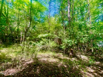 Nc 119 , Mebane, NC 27302
