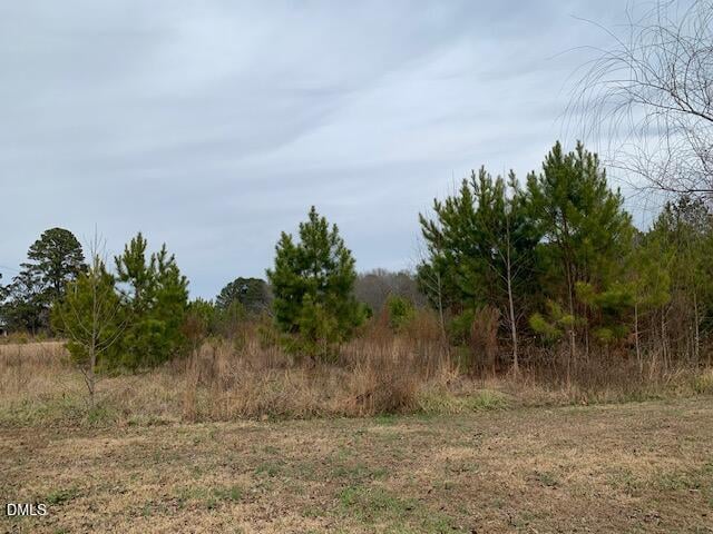Nc 210 Lot 1, Lillington, NC 27546