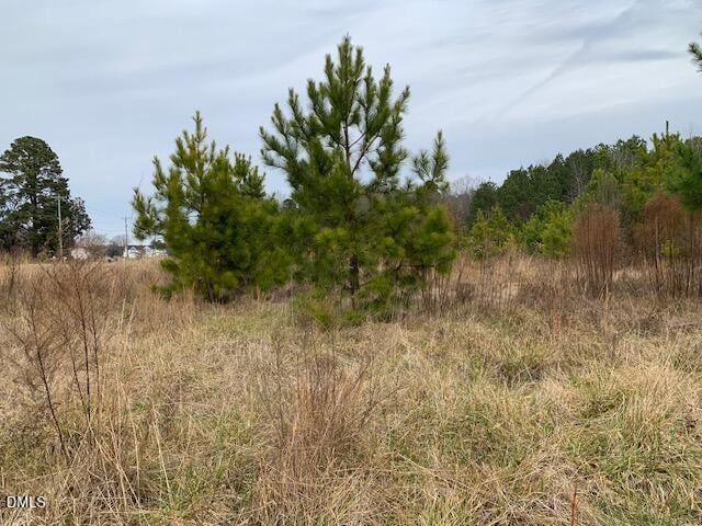 Nc 210 Lot 1, Lillington, NC 27546