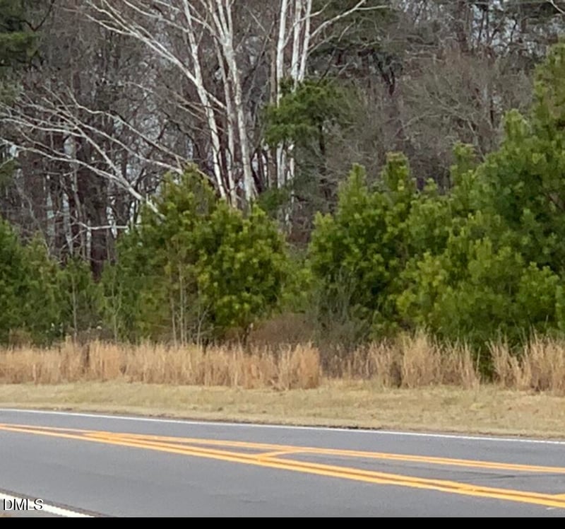 Nc 210 Lot 1, Lillington, NC 27546