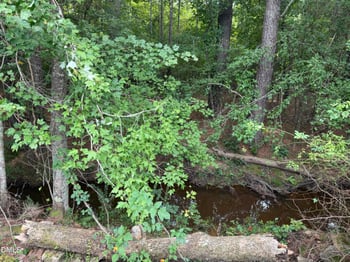 0 S Nc 231 Lot 58, Middlesex, NC 27557
