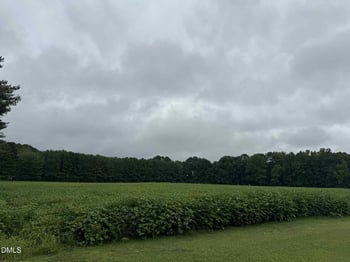 Nc 231  Lot 6495, Middlesex, NC 27557