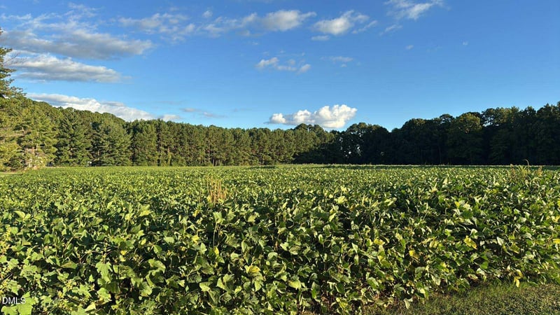 0 Nc 231 Lot 6495, Middlesex, NC 27557