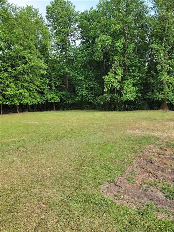 0 N Nc 242 Hw, Benson, NC 27504