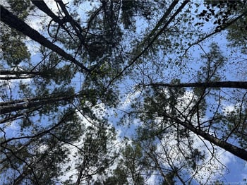 Nc 27 Hw, Sanford, NC 27332