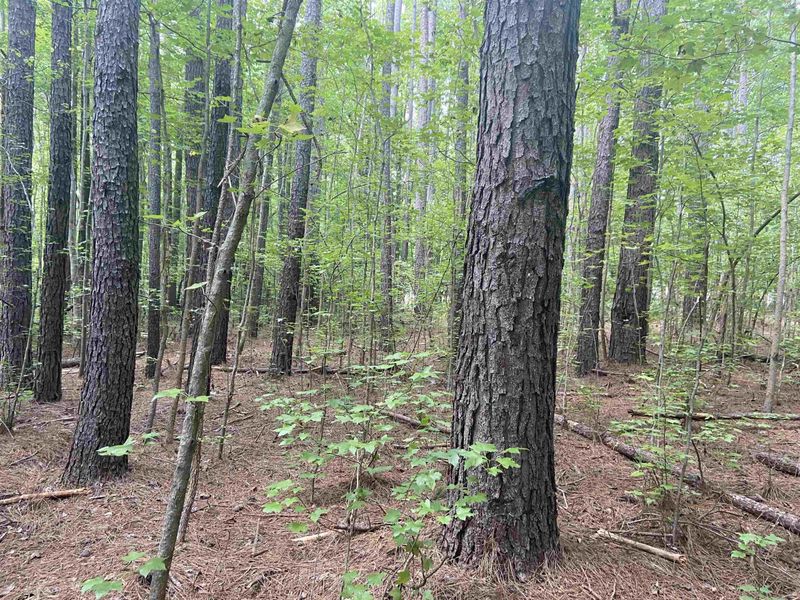 0 Nc 56 Hw Lot 2, Franklinton, NC 27525
